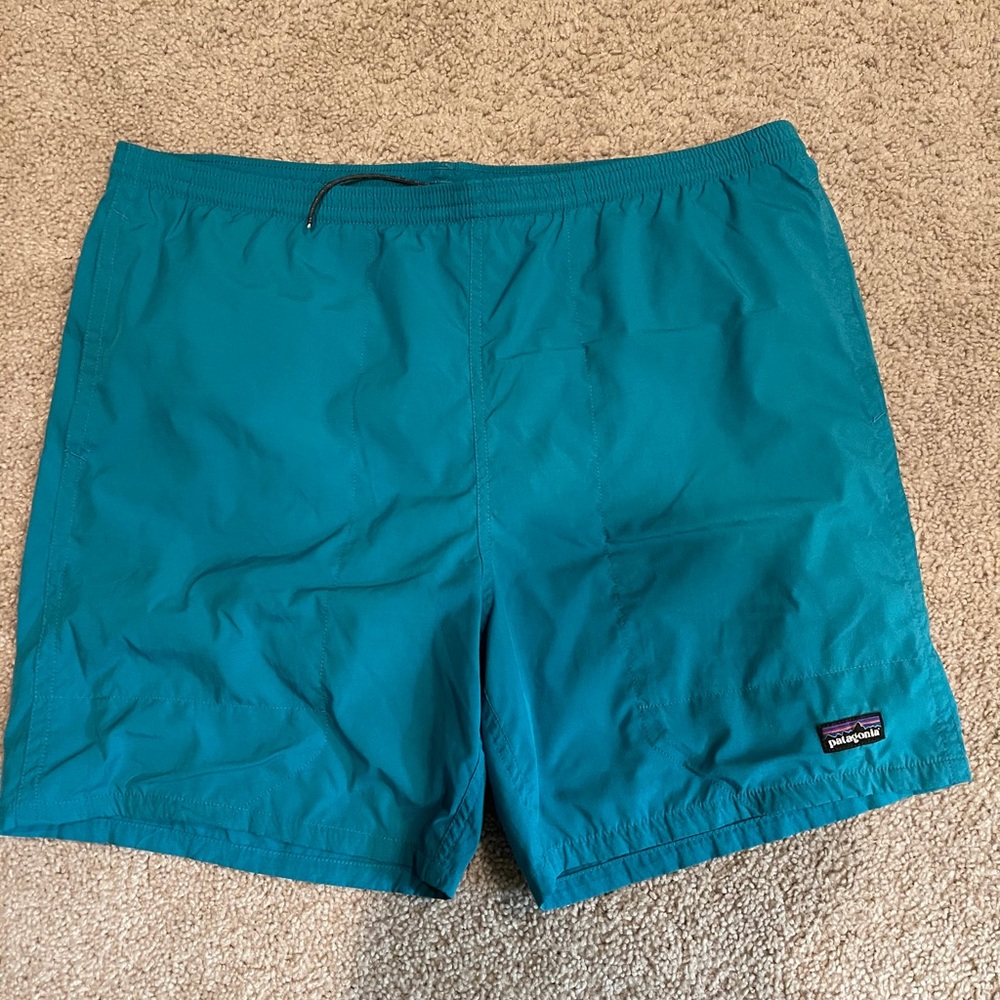 Patagonia Baggie Shorts (L)